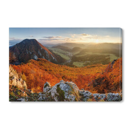Górski krajobraz jesienny z kolorowym lasem