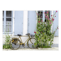 Rower przy ścianie wśród roślinności
