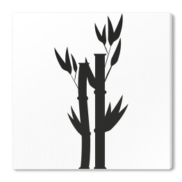 Bambus - czarno biała ilustracja
