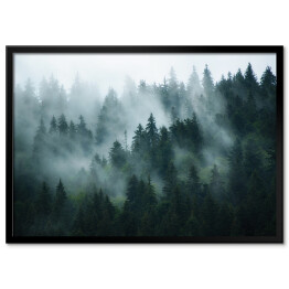 Krajobraz z gęstą mgłą w lesie