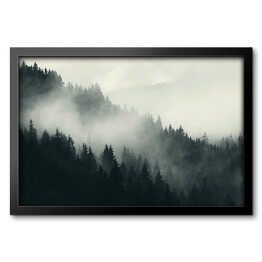 Mgła nad ciemnym lasem