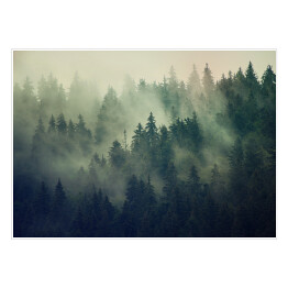 Mglisty krajobraz z lasem jodłowym w stylu hipster vintage retro