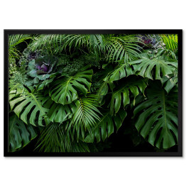 Zielone tropikalne liście Monstera, paproć, i palmowe fronty las deszczowy foliage roślina krzew kwiatowy układ na ciemnym tle, naturalny liść tekstury natury tło.