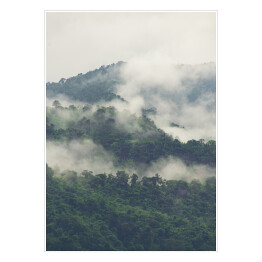 Zielony las na wzgórzach we mgle
