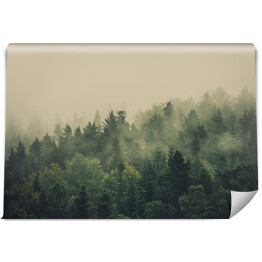 Zielony las w gęstej mgle