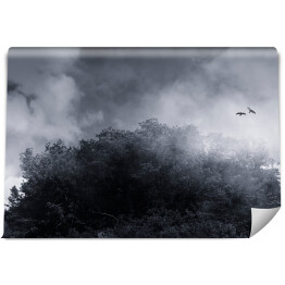 ptaki latające nad szczytem spowitym mgłą, pogodny krajobraz z ptakami