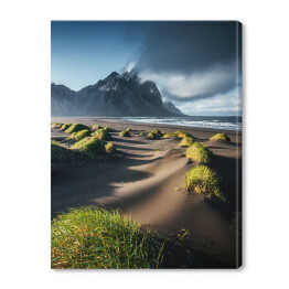 Zielone trawy i piaszczysta plaża na tle góry Vestrahorn, Islandia