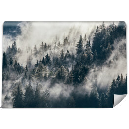 Gęsta poranna mgła w alpejskim krajobrazie