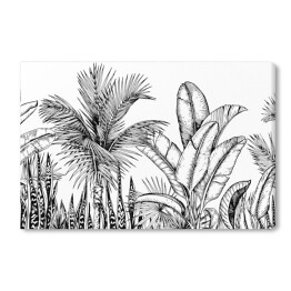 Wysokie palmy i liście bananowca - szkic roślinności