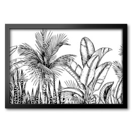 Wysokie palmy i liście bananowca - szkic roślinności