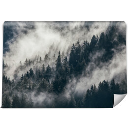 Gęsta poranna mgła w alpejskim krajobrazie z jodłami i górami. 