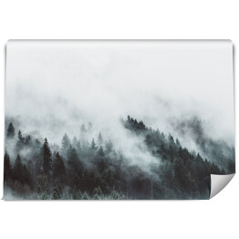 Krajobraz z lasem we mgle w górach