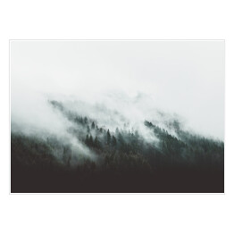Góry porośnięte sosnami we mgle