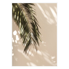 Liść palmowy piękne cienie na ścianie. Kreatywny, minimalny, stylizowany koncept dla blogerów.