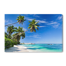 Tropikalna plaża z palmami