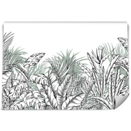 Zarys liści bananowca, palmy i monstery na białym tle