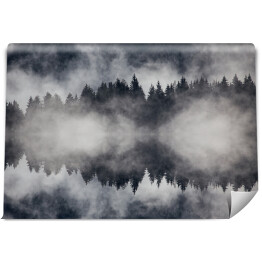 Piękny mglisty las w ujęciu monochromatycznym