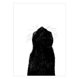 Czarny kot z długimi wąsami