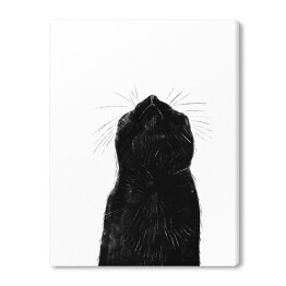 Czarny kot z długimi wąsami