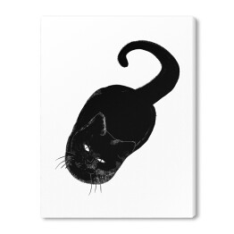 Czarny kot patrzący z wyższością