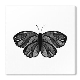 Czarny motyl z szarymi elementami na białym tle