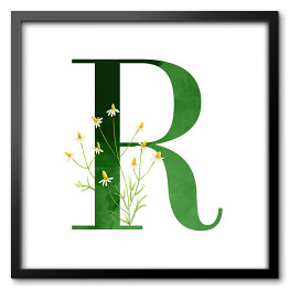 Roślinny alfabet - litera R jak rumianek