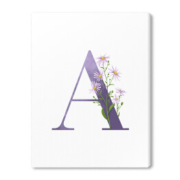 Roślinny alfabet - litera A jak aster