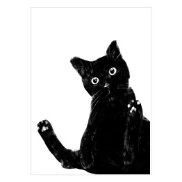 Zabawny czarny kociak z dużymi oczami