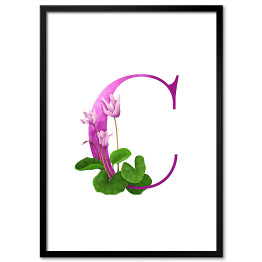 "C" - kwiatowy alfabet