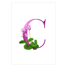 "C" - kwiatowy alfabet