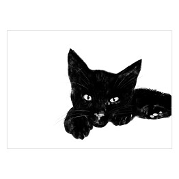 Leżący czarny kociak z wyciągniętą łapką