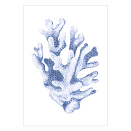 Błękitny koralowiec