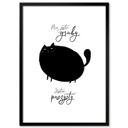 Czarny kot z napisem "Nie jestem gruby, jestem puszysty"