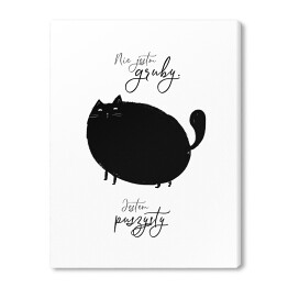 Czarny kot z napisem "Nie jestem gruby, jestem puszysty"