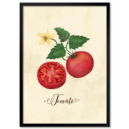 Ilustracja - pomidor