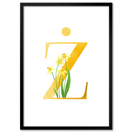 Roślinny alfabet - litera Ż jak żonkil
