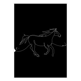Galopujący koń - czarne konie