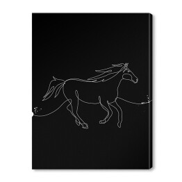 Galopujący koń - czarne konie