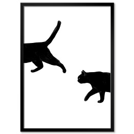 Spacerujące koty