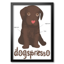 Kawa z psem - dogspresso