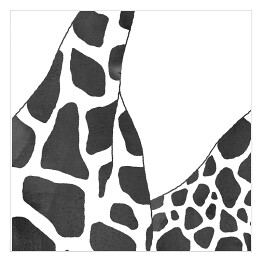 Czarno białe żyrafy - akwarela