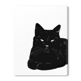 Zrelaksowany czarny kot