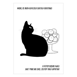 Czarny kot z napisem "Grażynko, widzę, że znów kupujesz ciastka" - ilustracja