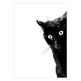Przestraszony czarny kot