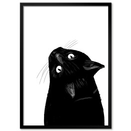 Czarny kot patrzący w górę