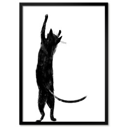 Czarny kot z długim ogonem stojący na dwóch łapkach