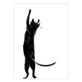 Czarny kot z długim ogonem stojący na dwóch łapkach