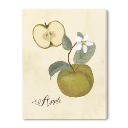 Ilustracja - jabłko