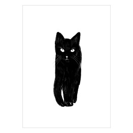 Zbliżający się czarny kot