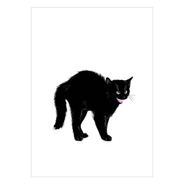 Zły czarny kociak z nastroszonym futerkiem